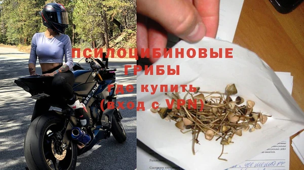 дмт Ельня