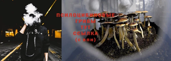 каннабис Елизово