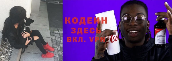 дмт Ельня