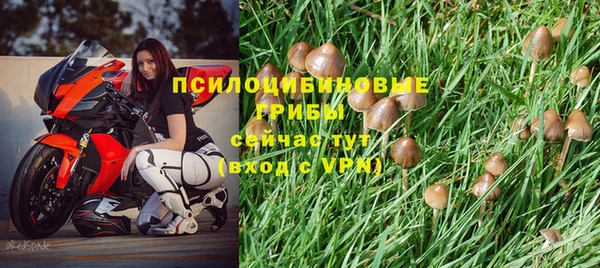каннабис Елизово