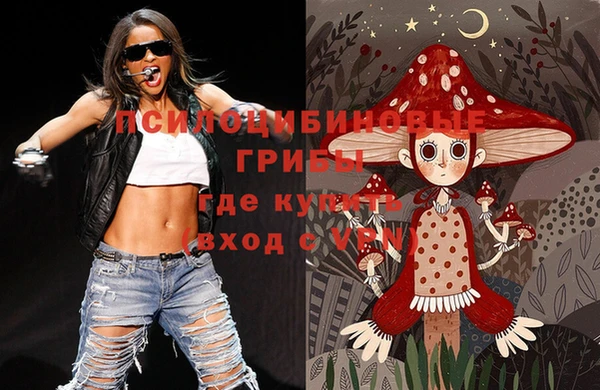 дмт Ельня