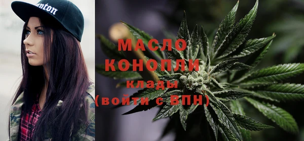 дмт Ельня