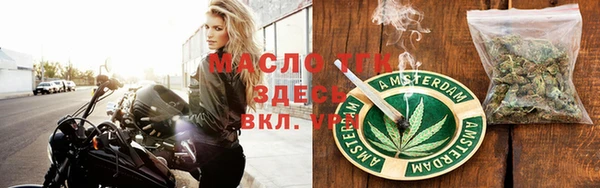 дмт Ельня