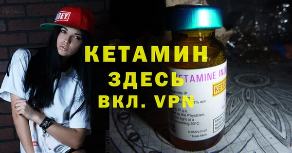 дмт Ельня